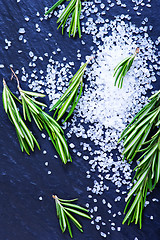 Image showing rosemary  with salt