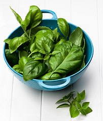 Image showing Fresh Basil Leafs