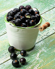 Image showing Fresh Berries of Blackcurrant