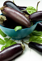 Image showing Raw Small Eggplants