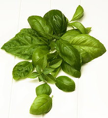 Image showing Fresh Basil Leafs