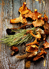 Image showing Arrangement of Dried Mushrooms