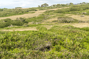 Image showing around Pointe de Pen-Hir in Brittany