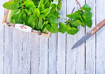 Image showing fresh mint