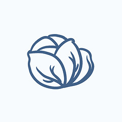 Image showing Cabbage sketch icon.