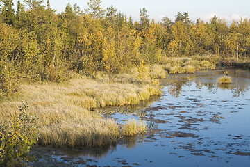 Image showing rushy lake