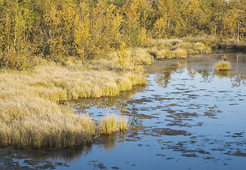 Image showing rushy lake