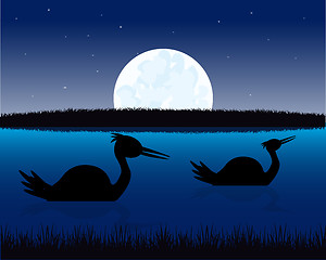 Image showing Night landscape with water and bird