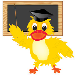 Image showing Duck teacher
