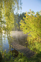 Image showing Old fishing platform under willow tree