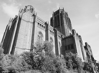 Image showing Liverpool Cathedral in Liverpool