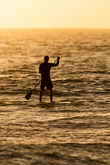 Image showing Man paddleboarding