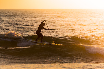 Image showing Stand up paddler silhouette at sunset