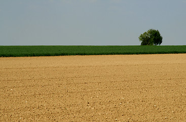Image showing field, agriculture