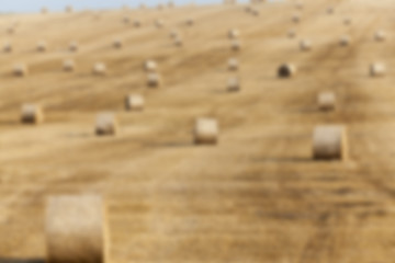 Image showing agriculture, not in focus