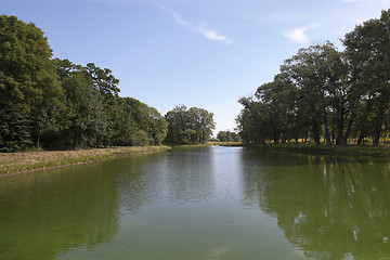 Image showing swamp, the end of summer