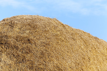 Image showing stack of straw in the field