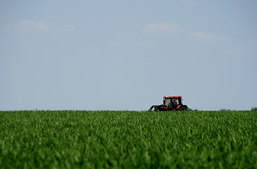 Image showing Tractor on a field