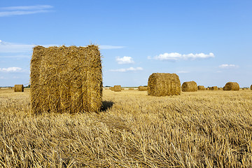 Image showing haystacks straw, close up