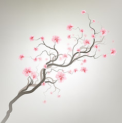 Image showing Sakura