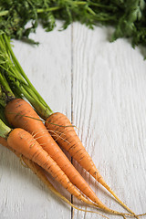 Image showing Freshly grown carrots