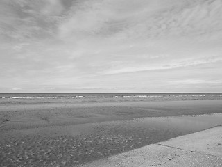 Image showing Sea beach shore