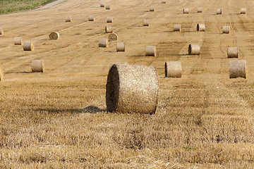 Image showing stack of straw in the field