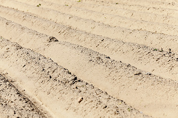 Image showing plowed for crop land