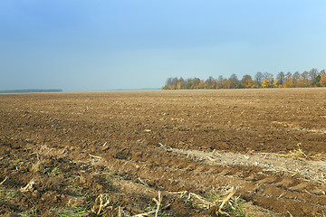 Image showing plowed field , agricultural