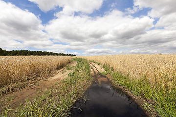 Image showing Rural paved road