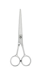 Image showing Professional Haircutting Scissors