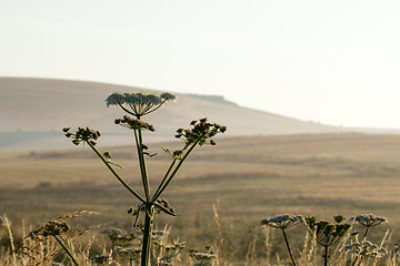 Image showing Summer Scene