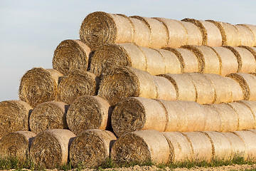 Image showing stack of straw in the field