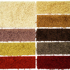 Image showing Carpet sampler