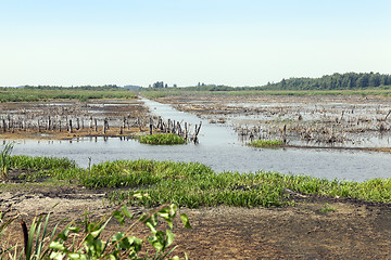 Image showing moorland, summer time