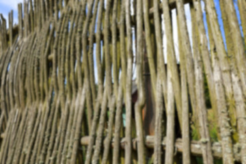 Image showing fence of twigs