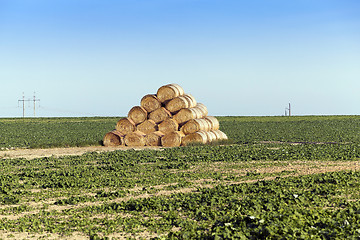 Image showing stack of straw in the field