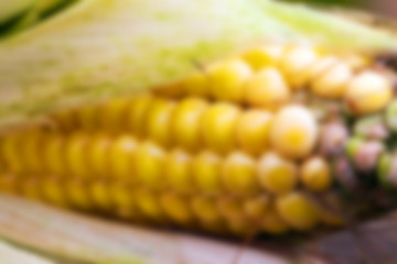 Image showing agricultural field, Defocus