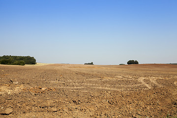 Image showing plowed agricultural field