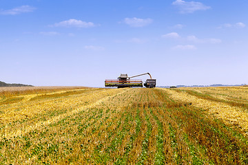 Image showing Harvester in the field