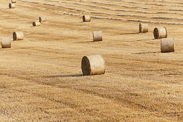 Image showing haystacks in a field of straw