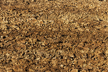 Image showing plowed for crop land