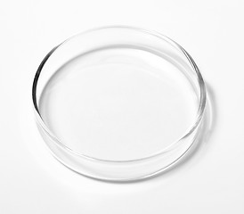 Image showing  Petri dish isolated on white