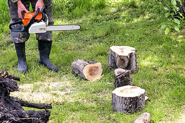 Image showing People at work: man sawing trees.