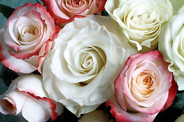 Image showing A bouquet of roses on light green background.