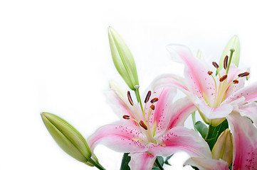 Image showing pink lily flower bouquet