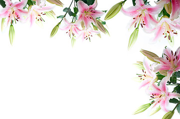 Image showing lily flowers composition frame