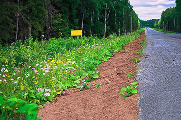 Image showing The road through the forest