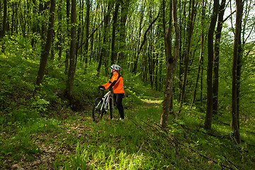 Image showing Biker on the forest road