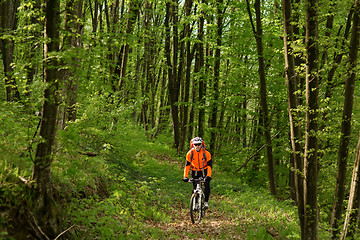 Image showing Biker on the forest road